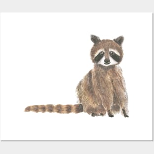 raccoon watercolor Posters and Art